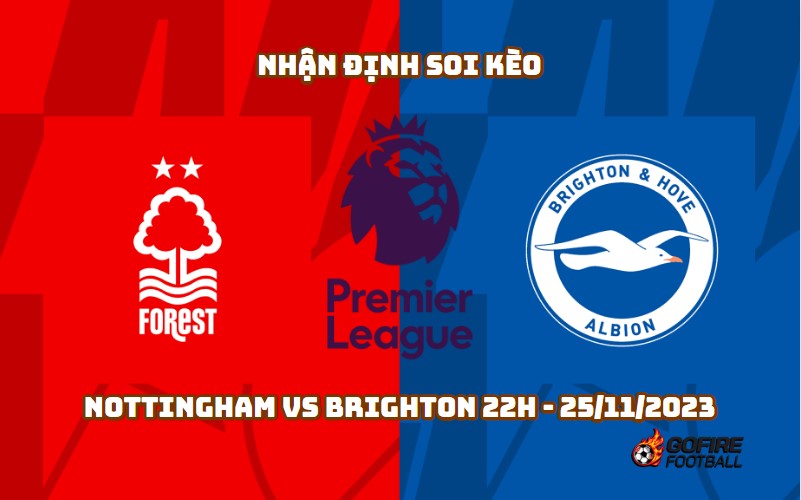 Nhận định soi kèo Nottingham vs Brighton 22h – 25/11/2023