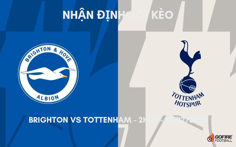 Nhận định ⭐ Soi kèo Brighton vs Tottenham – 2h30 – 29/12/2023