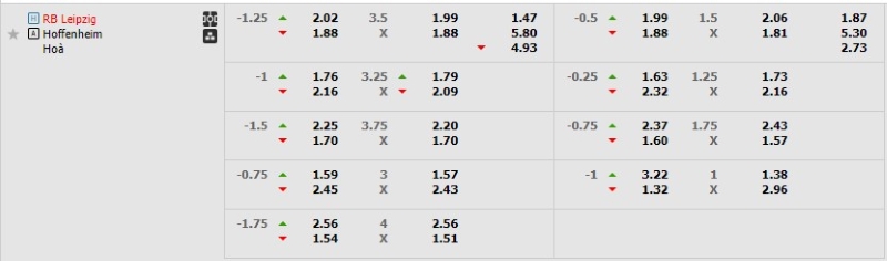 Tỷ lệ kèo RB Leipzig vs Hoffenheim