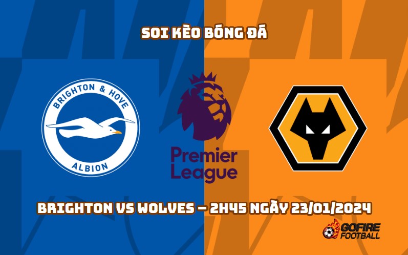Soi kèo bóng đá Brighton vs Wolves – 2h45 ngày 23/01/2024