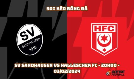 Soi kèo bóng đá SV Sandhausen vs Hallescher FC – 20h00 – 03/02/2024