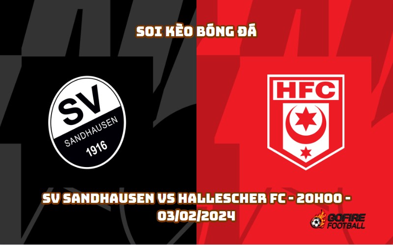 Soi kèo bóng đá SV Sandhausen vs Hallescher FC – 20h00 – 03/02/2024