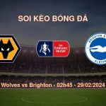 Soi kèo bóng đá Wolves vs Brighton – 02h45 – 29/02/2024