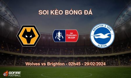 Soi kèo bóng đá Wolves vs Brighton – 02h45 – 29/02/2024