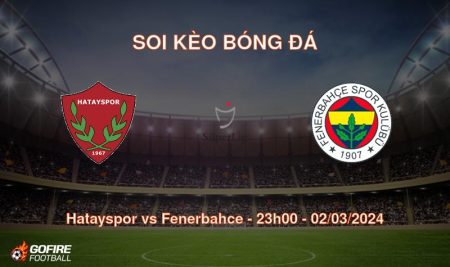 Soi kèo bóng đá Hatayspor vs Fenerbahce – 23h00 – 02/03/2024